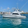 Reel Dreams Bahamas