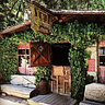 Cold Spring Tavern