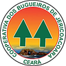 Buggy Tour Jeri