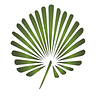 Natur Ecoturismo