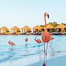 Renaissance Wind Creek Aruba Resort