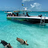 Born Free Charters