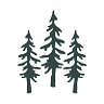 Black Bear Lodge