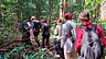 Amazon Rainforest Tours Brazil