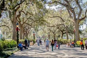 Savannah