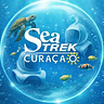 Sea Trek Curacao Underwater Walking Tour