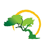 Fofoti Tours and Transfers