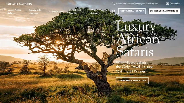 Micato Safaris-Luxury African Safaris