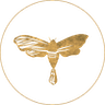Lucciola